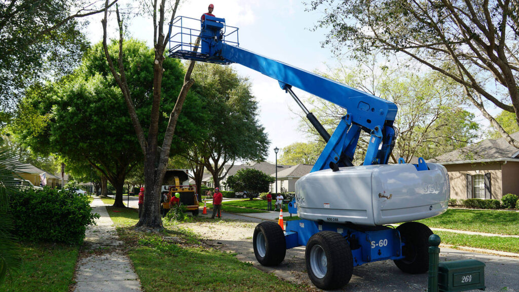 Boca Raton Residential Tree Services-Pro Tree Trimming & Removal Team of Boca Raton