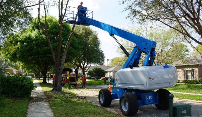 Boca Raton Residential Tree Services-Pro Tree Trimming & Removal Team of Boca Raton