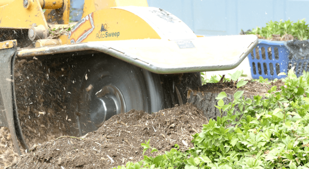 Boca Raton Stump Grinding & Removal-Pro Tree Trimming & Removal Team of Boca Raton
