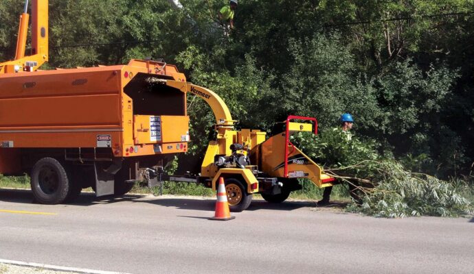 Commercial Tree Services Near Me-Pro Tree Trimming & Removal Team of Boca Raton
