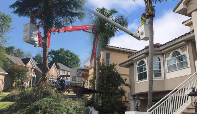 Residential Tree Services Affordable-Pro Tree Trimming & Removal Team of Boca Raton