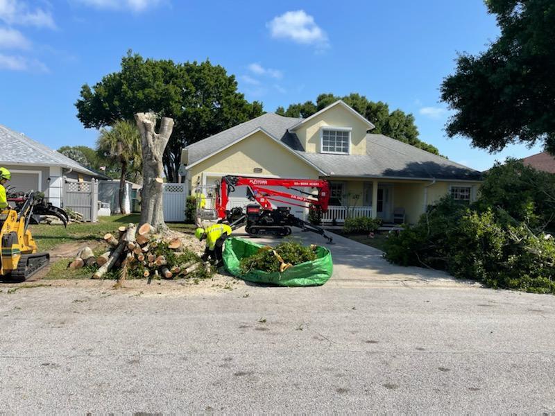 Residential Tree Services Boca Raton-Pro Tree Trimming & Removal Team of Boca Raton