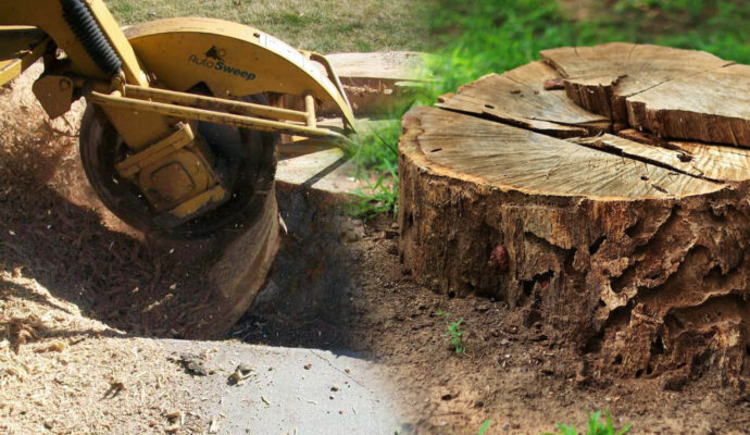 Stump Grinding & Removal Affordable-Pro Tree Trimming & Removal Team of Boca Raton