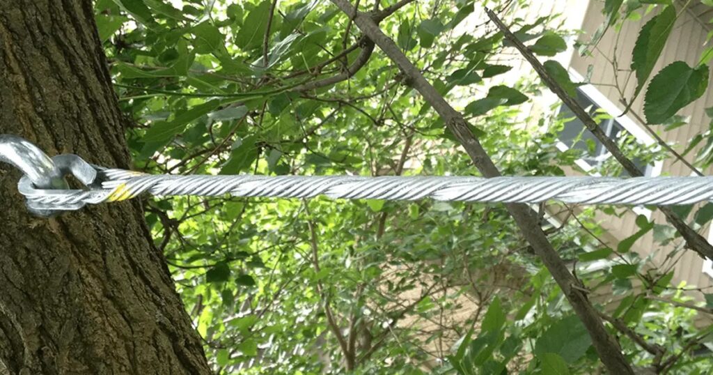 Tree Bracing & Tree Cabling Boca Raton-Pro Tree Trimming & Removal Team of Boca Raton