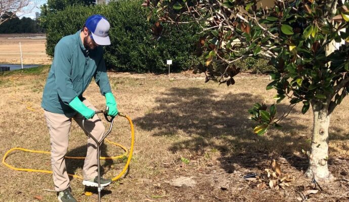 Deep Root Injection Experts-Pro Tree Trimming & Removal Team of Boca Raton