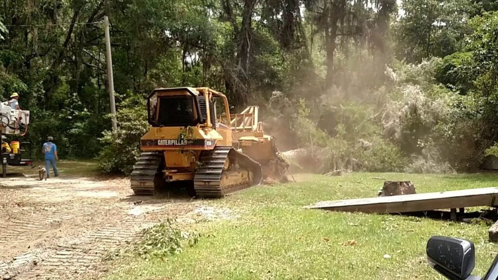 Land Clearing Experts-Pro Tree Trimming & Removal Team of Boca Raton