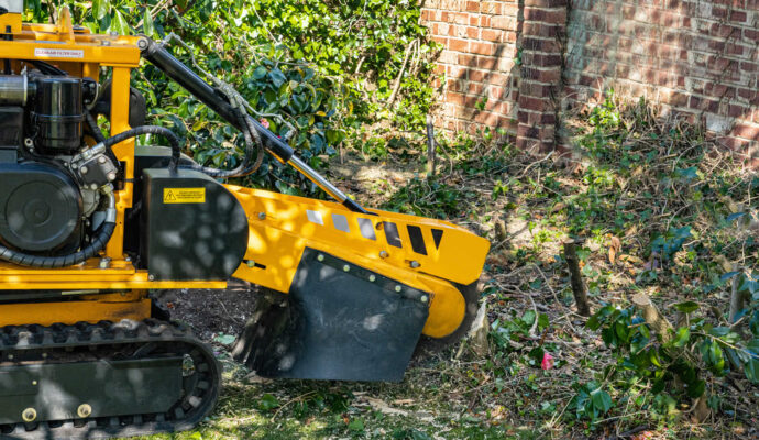 Stump Grinding-Pros-Pro Tree Trimming & Removal Team of Boca Raton