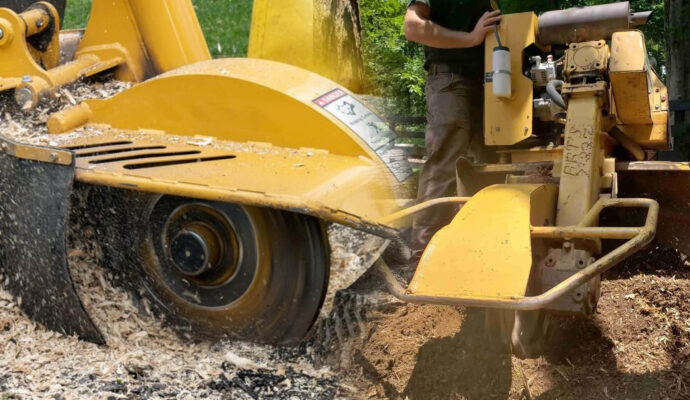 Stump Grinding & Removal Experts-Pro Tree Trimming & Removal Team of Boca Raton