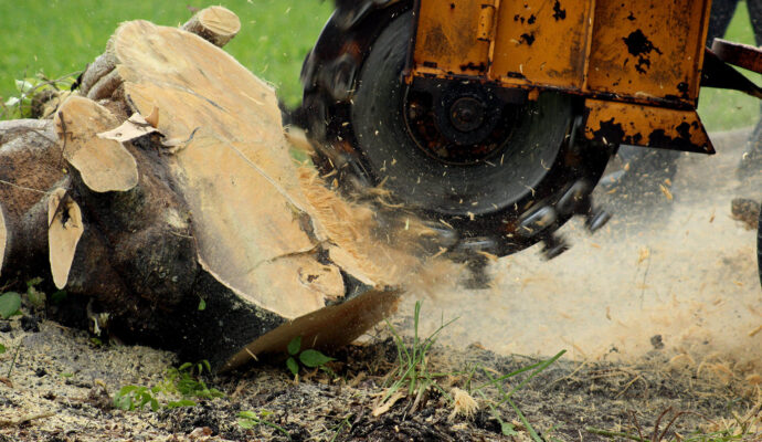 Stump-Grinding-Removal-Services Pro-Tree-Trimming-Removal-Team-of-Boca Raton