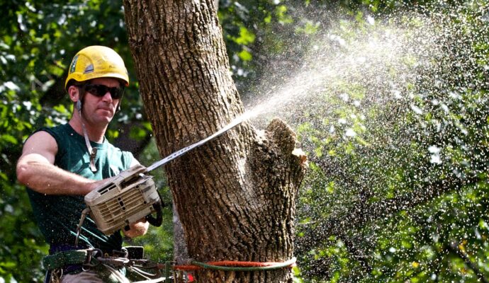 Tree Trimming-Pros-Pro Tree Trimming & Removal Team of Boca Raton
